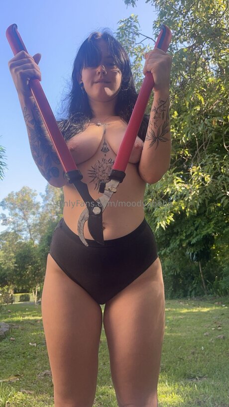 Moodyxbebe スター xxx 写真