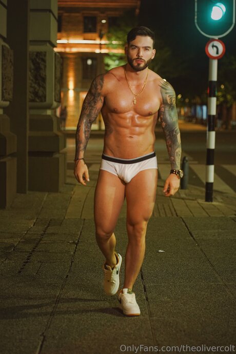 Theolivercolt 独占女優 アーカイブ