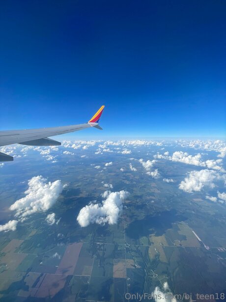 ゲイオンリーファン ポルノ 画像