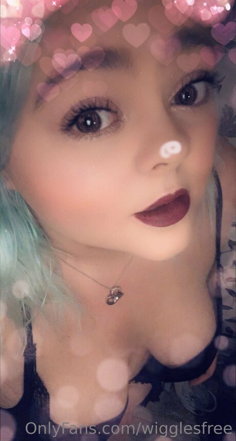 Wigglesfree 独占モデル 画像