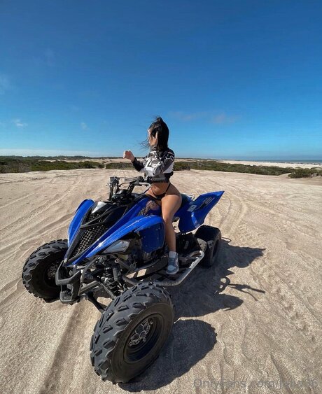 Julieblossom 素敵なスター ギャラリー