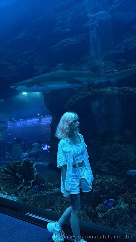 Taitehambelton 最高のモデル ギャラリー