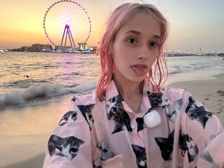 Taitehambelton Bilder