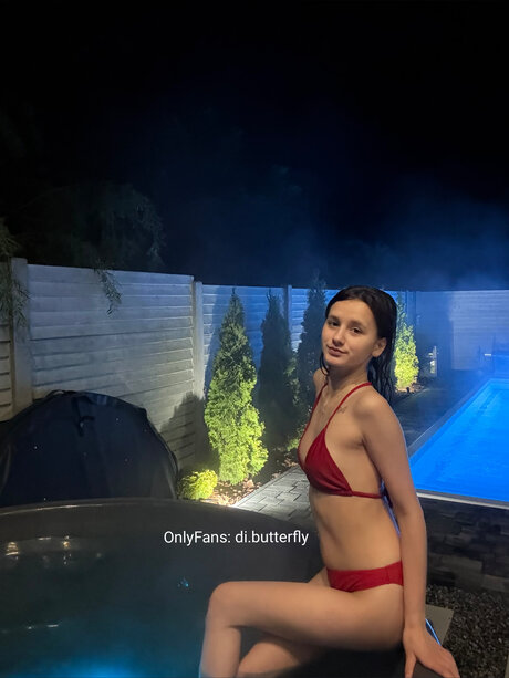 Di Butterfly かわいいスター 画像