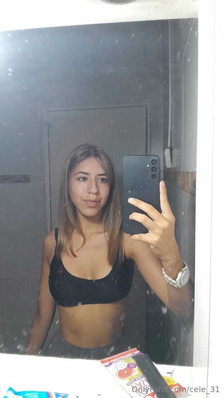 Cele 31 アートスター 写真