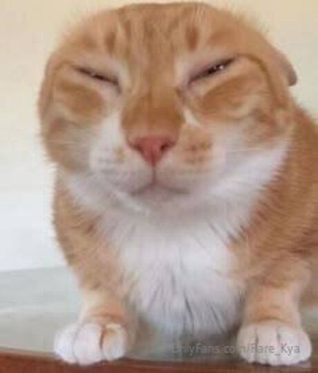 ルビーオンリーファン 美しい裸 画像