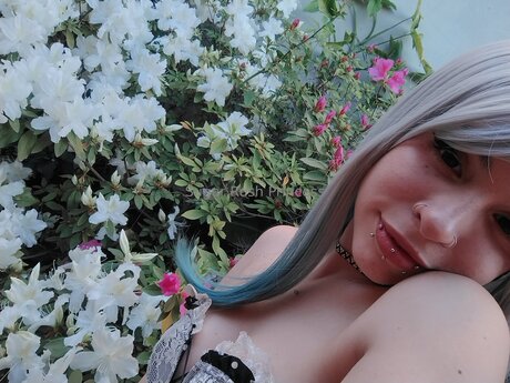 Sugar Rush Goddess 美しい女優 写真