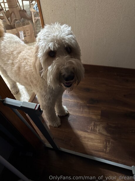 Man Of Your Dream ポルノスター HD ギャラリー