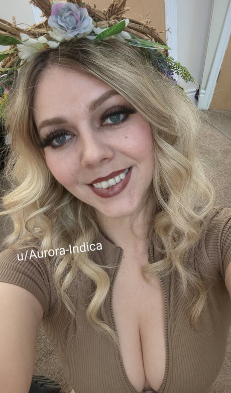 Aurora Indica ホットスター 写真