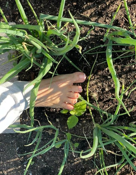 肉厚マンコオンリーファンズ エロ 写真