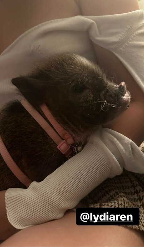 Lydiaren ヌードモデル ギャラリー