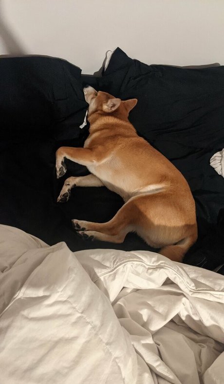 ccbunz 美しい女優 画像