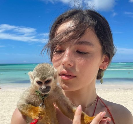 Sophia Rose Turino セクシーなスター 画像