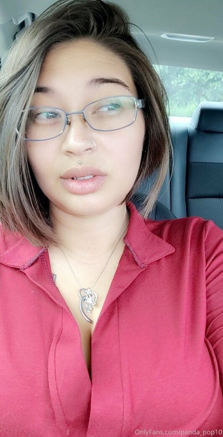 panda pop10 完璧なモデル 写真