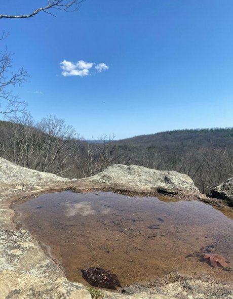 ヌード教師オンリーファンズ 美しい 写真