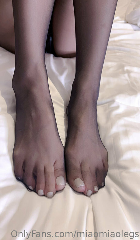 miaomiaolegs ホットスター 写真