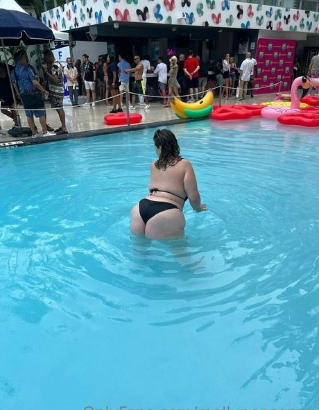 mollynonsense Profilbild