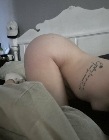 tacowhore 独占ポルノスター アーカイブ