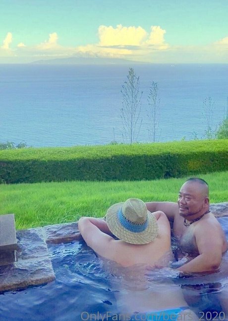 bears 2020 Profilbild