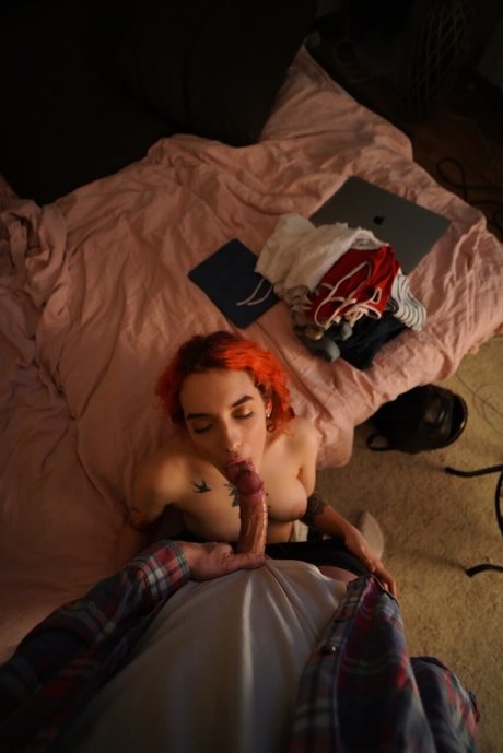 Megakikiboy 限定スター 画像