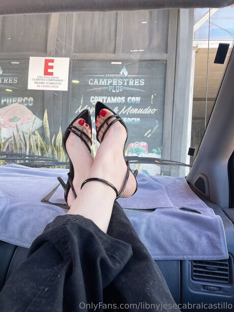 Libnyjesecabralcastillo アートモデル 写真