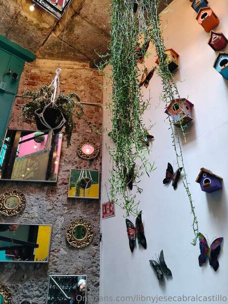 Libnyjesecabralcastillo スター 写真