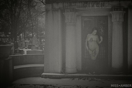 Missamberdoesxxx ポルノモデル 画像