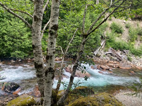 Exotic X Bunny 美しいモデル ギャラリー