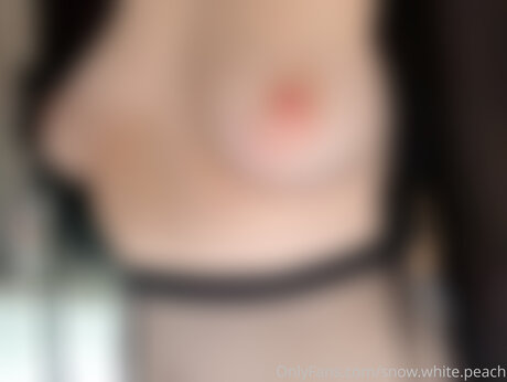 Snow White Peach ポルノモデル ギャラリー