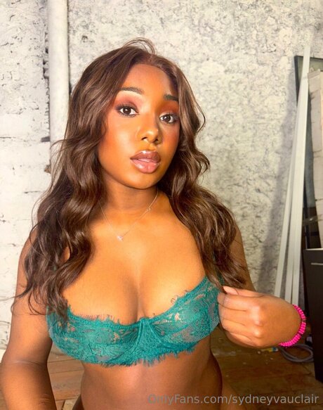 Sydneyvauclair 無料のポルノスター 画像