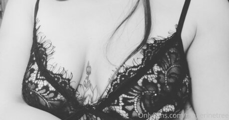 Tangerinetree ポルノスター エロティック 写真