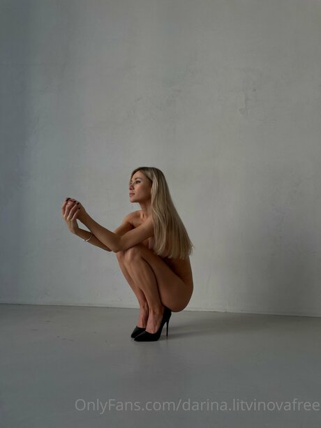Darina Litvinovafree ポルノスター 画像