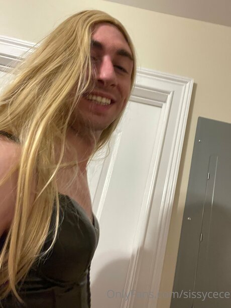 Sissycece 美しいスター 写真