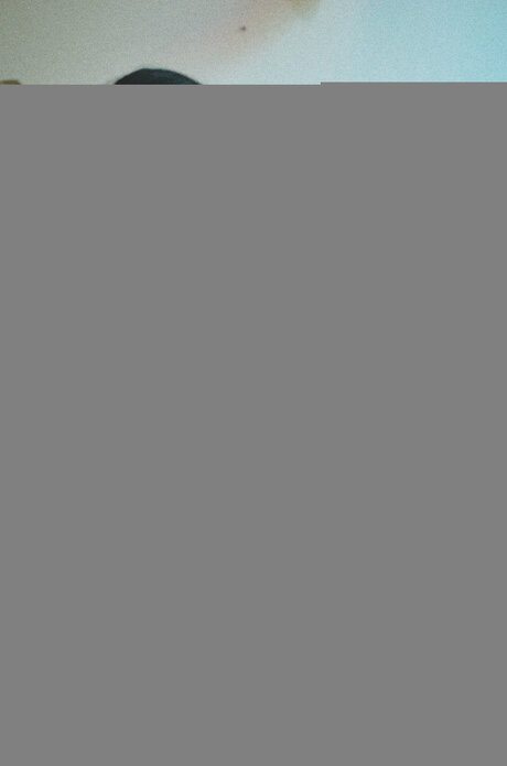 Babyitslolarose エロティックなモデル ギャラリー