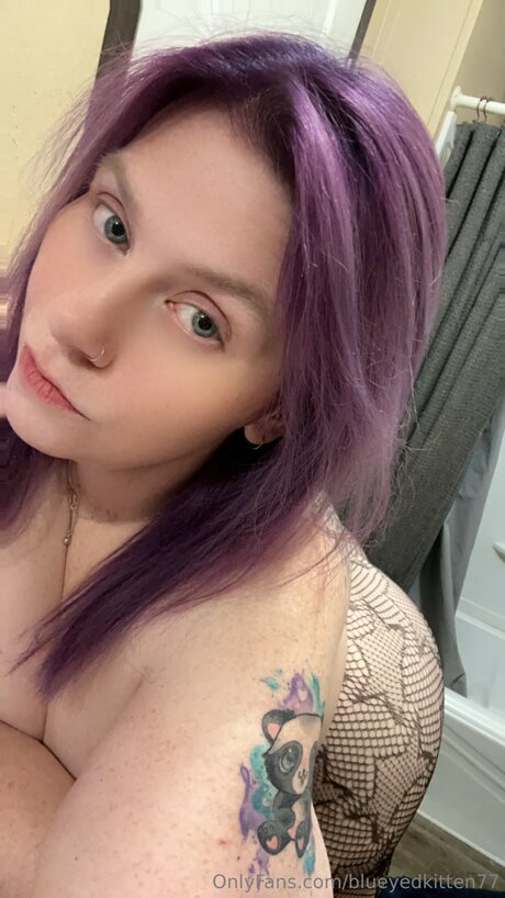 Blueyedkitten77 無料スター 写真