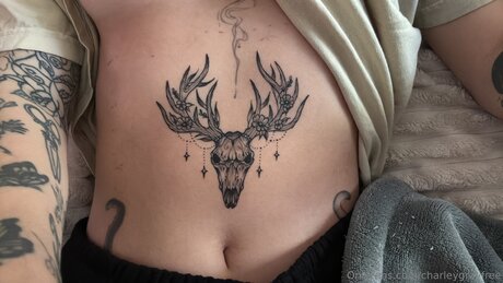 Charleygrayfree トップモデル 画像