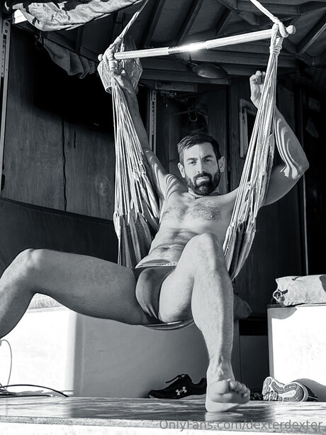 Dexterdexter スター 写真