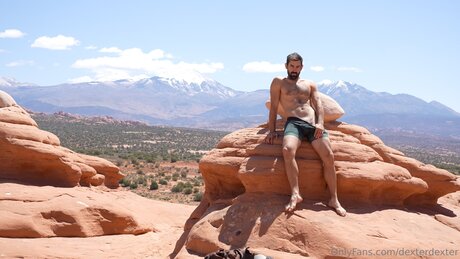 Dexterdexter HDスター 写真