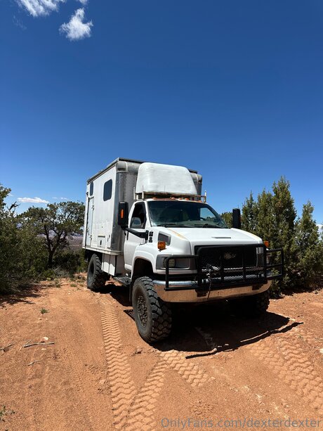 Dexterdexter 素敵なポルノスター 写真