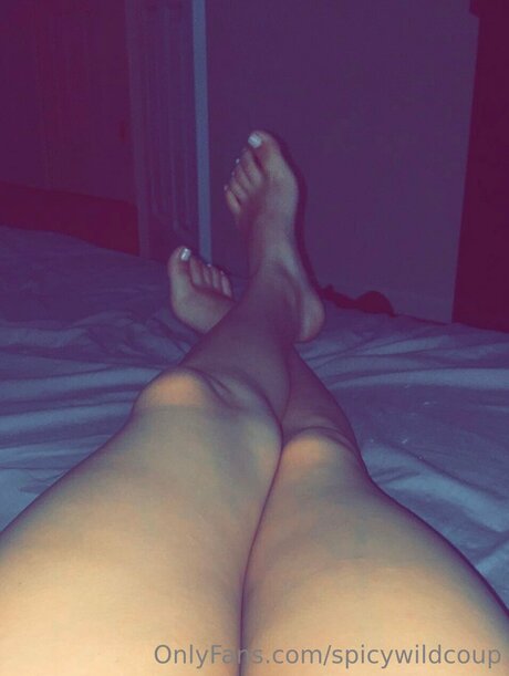 Spicywildcoup アートスター ギャラリー