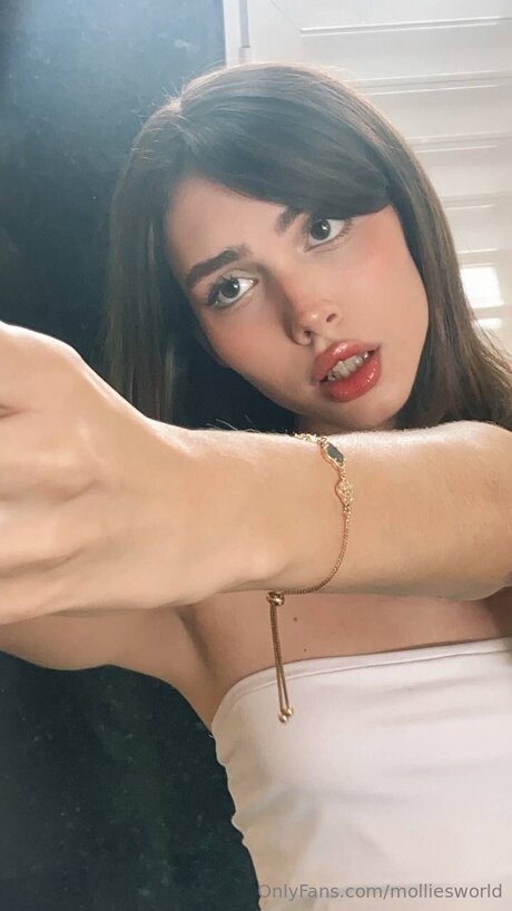 Molliesworld HDモデル 写真