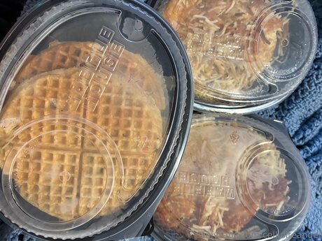 Celluliteangel 裸の女優 写真