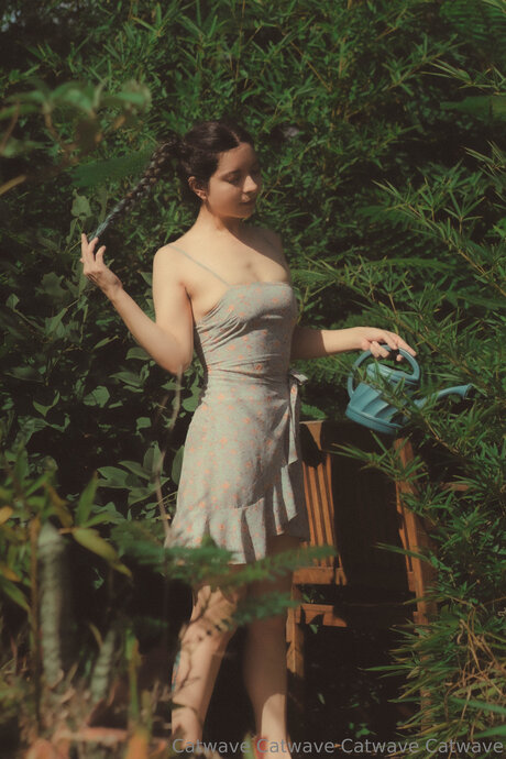 Catwave ポルノスター トップ 写真