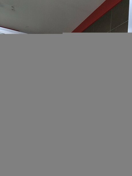 かわいいシーメールオンリーファンズ えろた 画像