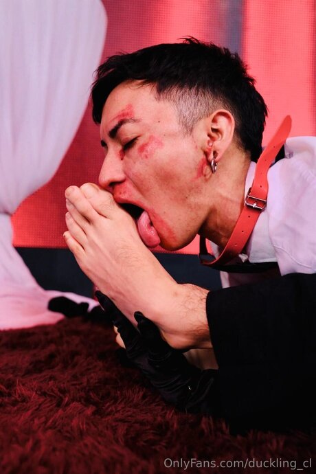 Duckling Cl 完璧な女優 アーカイブ