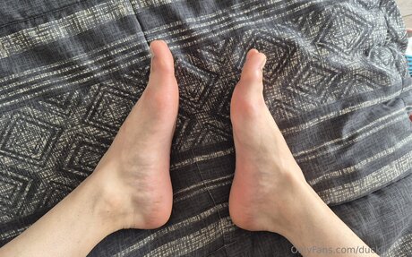 Duckling Cl HDモデル アーカイブ