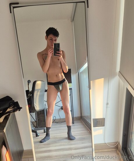 Duckling Cl 高品質モデル 画像