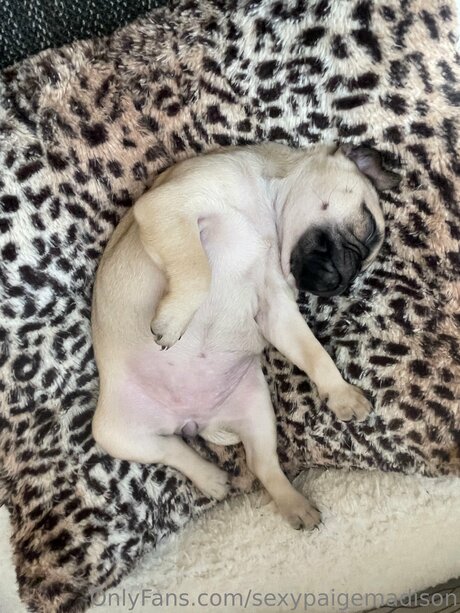 Sexypaigemadison 裸モデル 画像