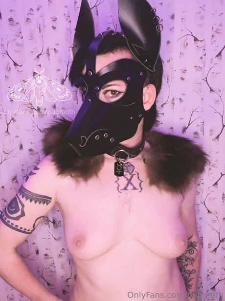 曲線美のランジェリーOnlyFans 無料 写真