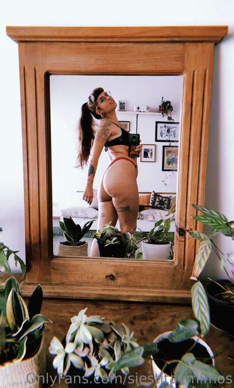 Siestitaymimos ポルノスター 美しい 写真